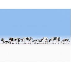 15721 Noch Koeien zwart-wit