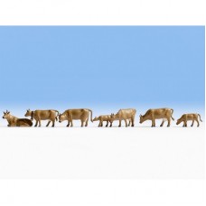 15722 Noch Koeien donkerbruin