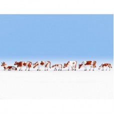 15723 Noch Koeien bruin-wit