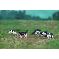 NVPS201 Holstein Zwartbont 5 stuks NVPS201 Holstein Zwartbont 5 stuks