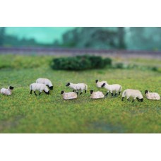 HS009 DE Schwarzkopfschaf met lammeren 10 stuks