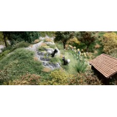 HB021 Zwitserse Walliser Schwarzhalsziege 2 stuks