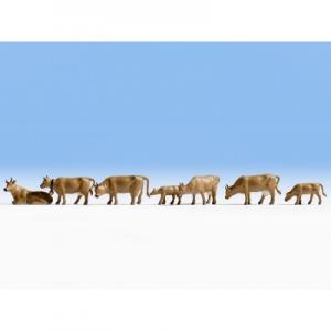 15722 Noch Koeien donkerbruin