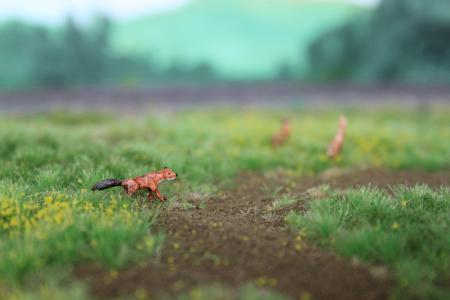 00B01 Vossen 3 stuks