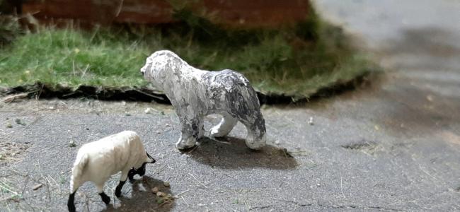 00B09 Old English Sheepdog met 2 Suffolk