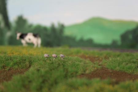 00B16 Egeltjes 3 stuks