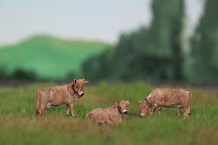 HVPS001 Braunvieh 3 stuks