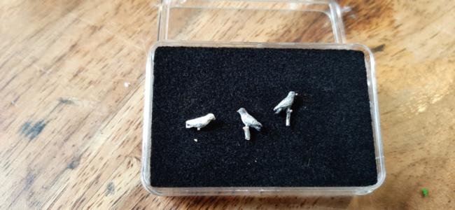 00B15 Duiven 3 stuks