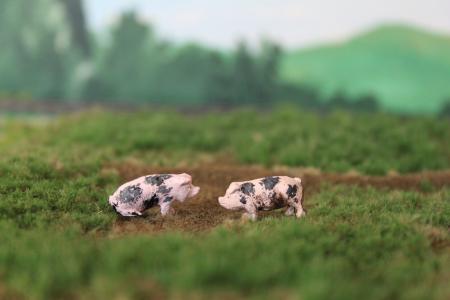 HB025 De Bonte Bentheimer 2 stuks